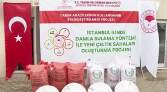 Çatalca'da çiftçilere çeltik tohumu ve damlama sulama boruları dağıtıldı