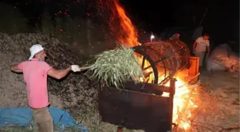 ÇİFTÇİLERİN 'FİRİK' MESAİSİ; İFTARDAN SONRA BAŞLAYIP, SAHURA KADAR ÇALIŞIYORLAR