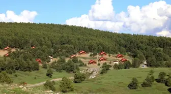 Vali Makas, Dumanlı Tabiat Parkında incelemelerde bulundu