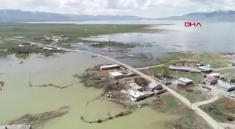 Son dakika gündem: Erçek Gölü'ne flamingolar bu yıl erken geldi