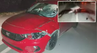 Ahırdan kaçan ata araba çarptı, at telef oldu