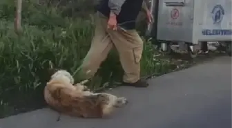 Son dakika haber! SARIYER'DE KÖPEĞİNİ SİLAHLA VURARAK ÖLDÜRDÜĞÜ İDDİA EDİLEN KİŞİ GÖZALTINA ALINDI