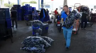 Semt pazarlarının açılması öncesi Antalya Hali'nde hareketlilik