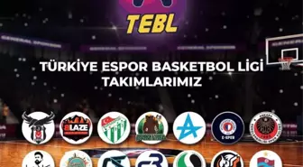 TEB Ligi Sezon 2 takımları duyuruldu!