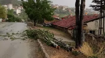 Ankara'daki fırtına minarenin kubbesini devirdi