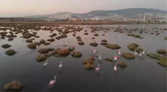 İzmir Kuş Cenneti'nde gün batımı güzelliği