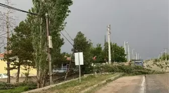 Aksaray'da kum fırtınası sonrası hasar tespiti yapılacak