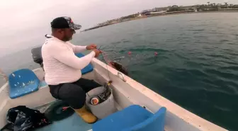 Amatör balıkçı, ağa takılan Caretta Caretta'yı 'gülüm, bir tanem' diyerek kurtardı