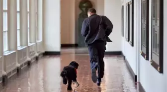 Son dakika haberi! Barack Obama'nın köpeği Bo öldü