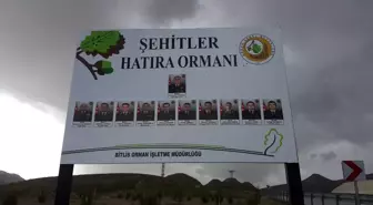 Bitlis'teki helikopter şehitleri anısına hatıra ormanı oluşturuldu