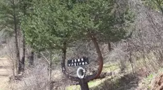 'Asırlık çınar' Mehmet dede sağlığını doğal beslenmeye borçlu