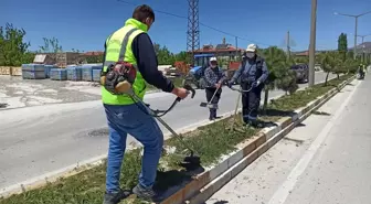 İscehisar'ın yeşil alanları güzelleşiyor