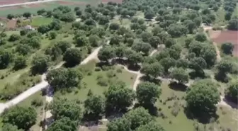 KIRKLARELİ - Tam kapanma sürecinde kuralları ihlal edenler drone ile yakalanıyor