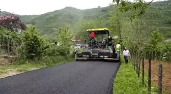 Ordu'da asfalt seferberliği