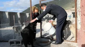 Uçhisar Belediye Başkanı Süslü, sokak hayvanlarını unutmadı