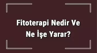 Fitoterapi Nedir ve Ne İşe Yarar? Fitoterapi Nasıl Yapılır ve Uygulanır