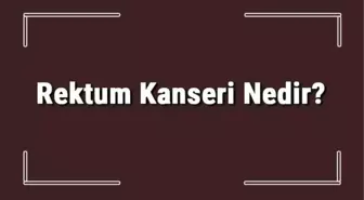 Rektum Kanseri Nedir? Rektum Nedenleri, Belirtileri, Evreleri ve Tedavisi Hakkında Bilgi