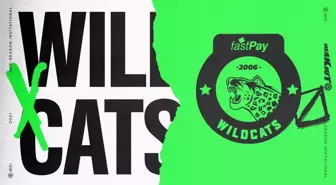 fastPay Wildcats'ın MSI 2021 İstatistikleri!