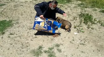 Son dakika haber! Pelitözü Gölpark'taki hayvanlar ölüme terk edilmedi