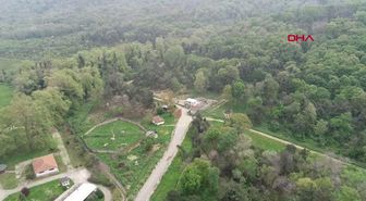 BURSA BARINAKTAKİ SON DANSÇI AYI 'BRÜTÜS?