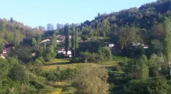 Kırmızı Amasya'nın 'mavi' köyü! Koronavirüs bu köye hiç uğramadı, başarının sırrı iki tedbirde