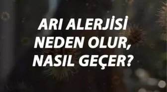 Arı Alerjisi Nedir, Neden Olur ve Nasıl Geçer? Arı Sokması Alerjisi Belirtileri ve Tedavisi Hakkında Bilgi