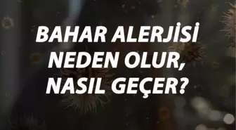 Bahar Alerjisi Nedir, Neden Olur ve Nasıl Geçer? Bahar Alerjisi Belirtileri ve Tedavisi Hakkında Bilgi