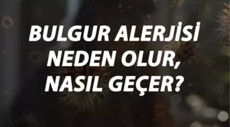 Bulgur Alerjisi Nedir, Neden Olur ve Nasıl Geçer? Bulgur Alerjisi Belirtileri ve Tedavisi Hakkında Bilgi