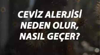 Ceviz Alerjisi Nedir, Neden Olur ve Nasıl Geçer? Ceviz Alerjisi Belirtileri ve Tedavisi Hakkında Bilgi