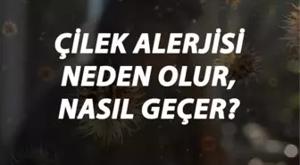 Çilek Alerjisi Nedir, Neden Olur ve Nasıl Geçer? Çilek Alerjisi Belirtileri ve Tedavisi Hakkında Bilgi