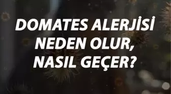 Domates Alerjisi Nedir, Neden Olur ve Nasıl Geçer? Domates Alerjisi Belirtileri ve Tedavisi Hakkında Bilgi