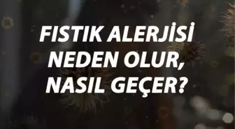 Fıstık Alerjisi Nedir, Neden Olur ve Nasıl Geçer? Fıstık Alerjisi Belirtileri ve Tedavisi Hakkında Bilgi