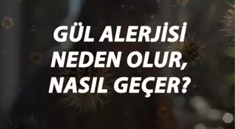 Gül Alerjisi Nedir, Neden Olur ve Nasıl Geçer? Gül Alerjisi Belirtileri ve Tedavisi Hakkında Bilgi