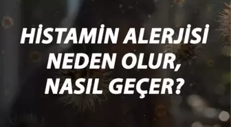 Histamin Alerjisi Nedir, Neden Olur ve Nasıl Geçer? Histamin Alerjisi Belirtileri ve Tedavisi Hakkında Bilgi