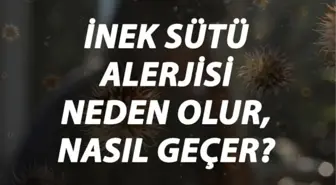 İnek Sütü Alerjisi Nedir, Neden Olur ve Nasıl Geçer? İnek Sütü Alerjisi Belirtileri ve Tedavisi Hakkında Bilgi