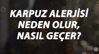 Karpuz Alerjisi Nedir, Neden Olur ve Nasıl Geçer? Karpuz Alerjisi Belirtileri ve Tedavisi Hakkında Bilgi