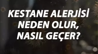 Kestane Alerjisi Nedir, Neden Olur ve Nasıl Geçer? Kestane Alerjisi Belirtileri ve Tedavisi Hakkında Bilgi