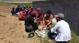 Mevsimlik işçilerin zorlu bayram mesaisi