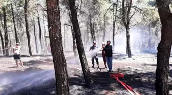 2 hektarlık alanın kül olduğu orman yangını büyümeden söndürüldü