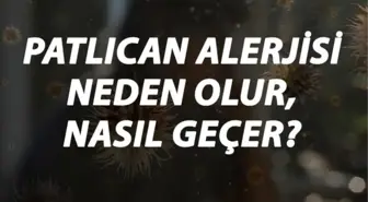 Patlıcan Alerjisi Nedir, Neden Olur ve Nasıl Geçer? Patlıcan Alerjisi Belirtileri ve Tedavisi Hakkında Bilgi