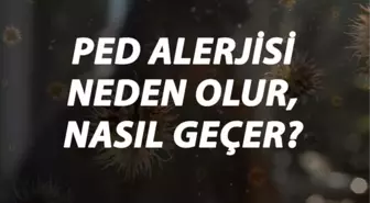 Ped Alerjisi Nedir, Neden Olur ve Nasıl Geçer? Ped Alerjisi Belirtileri ve Tedavisi Hakkında Bilgi