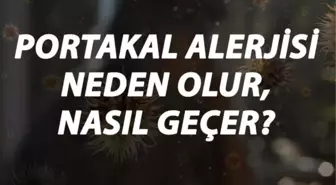 Portakal Alerjisi Nedir, Neden Olur ve Nasıl Geçer? Portakal Alerjisi Belirtileri ve Tedavisi Hakkında Bilgi