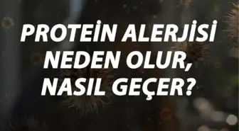 Protein Alerjisi Nedir, Neden Olur ve Nasıl Geçer? Protein Alerjisi Belirtileri ve Tedavisi Hakkında Bilgi