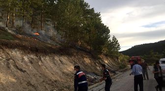 Seyitgazi'deki orman yangınında 2 dönüm alan zarar gördü