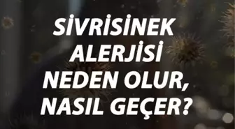 Sivrisinek Alerjisi Nedir, Neden Olur ve Nasıl Geçer? Sivrisinek Isırığı Alerjisi Belirtileri ve Tedavisi Hakkında Bilgi
