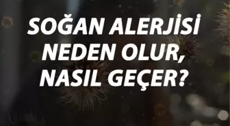 Soğan Alerjisi Nedir, Neden Olur ve Nasıl Geçer? Soğan Alerjisi Belirtileri ve Tedavisi Hakkında Bilgi