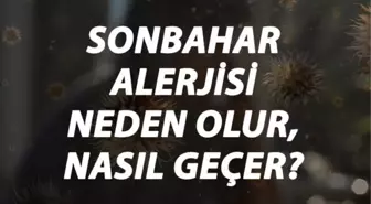 Sonbahar Alerjisi Nedir, Neden Olur ve Nasıl Geçer? Sonbahar Alerjisi Belirtileri ve Tedavisi Hakkında Bilgi