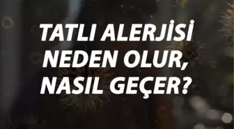 Tatlı Alerjisi Nedir, Neden Olur ve Nasıl Geçer? Tatlı Alerjisi Belirtileri ve Tedavisi Hakkında Bilgi