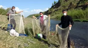 VAN'DA ÜREME DÖNEMİNDE KAÇAK AVLANAN 1 TON İNCİ KEFALİ ELE GEÇİRİLDİ