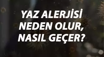 Yaz Alerjisi Nedir, Neden Olur ve Nasıl Geçer? Yaz Alerjisi Belirtileri ve Tedavisi Hakkında Bilgi